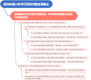 股份有限公司可行性研究报告的概念