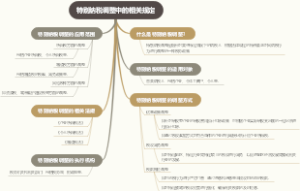 特别纳税调整中的相关规定