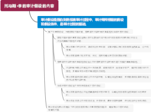 托马斯·李的审计假设的内容