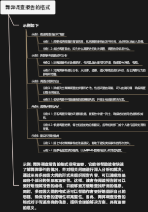 舞弊调查报告的格式