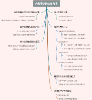 纳税审计的主要内容