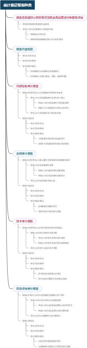 审计查证报告种类