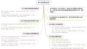 审计报告的性质