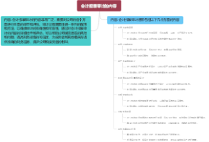 会计报表审计的内容