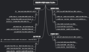 简易审计程序的执行主体c