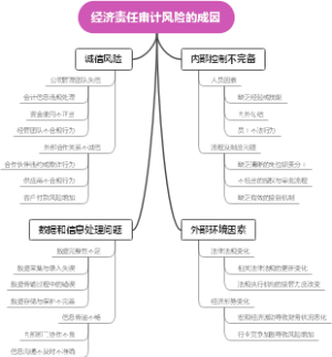 经济责任审计风险的成因