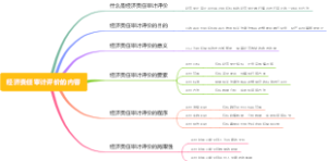 经济责任审计评价的内容