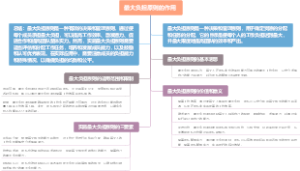 最大负担原则的作用