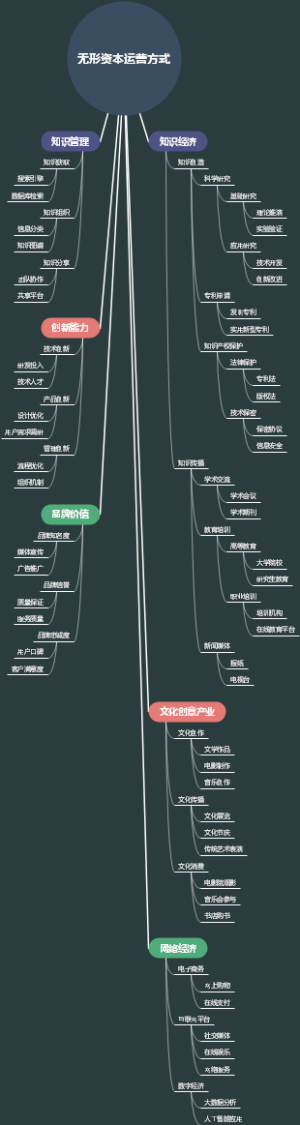 无形资本运营方式