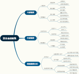 资本金的筹集