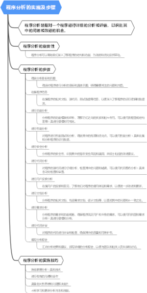 程序分析的实施及步骤