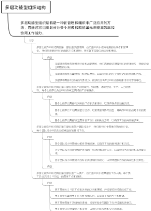 多层功能型组织结构