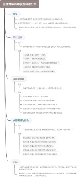 三维竞争战略模型因素分析
