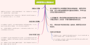 战略管理办公室的缺点