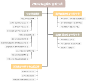 政府采购信息公告的方式