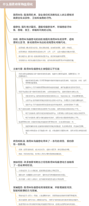 什么是政府采购信息化