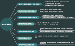 安全管理概述