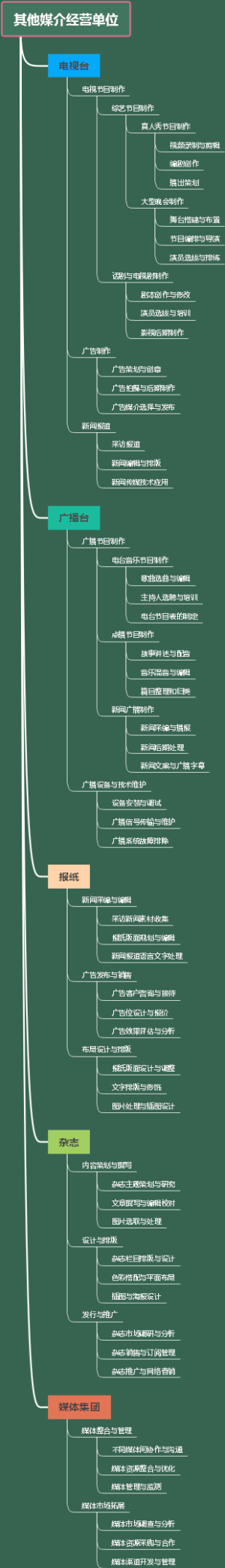 其他媒介经营单位
