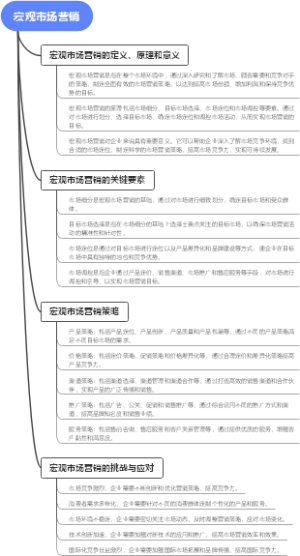 宏观市场营销