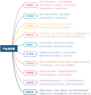 产品成长期
