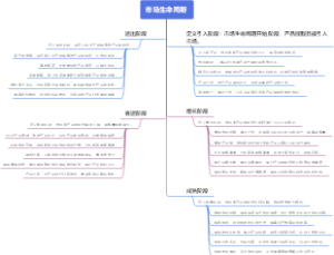 市场生命周期