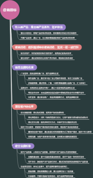 促销目标