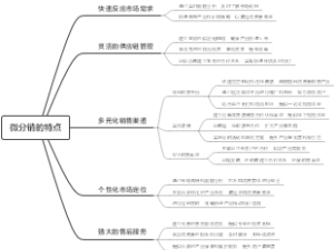 微分销的特点