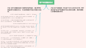 客户体验图的特点