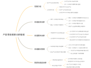 产品市场前景分析模板