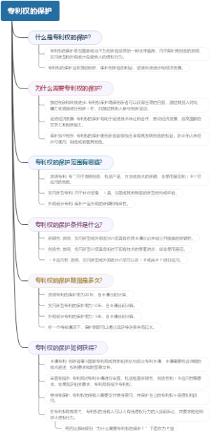 专利权的保护