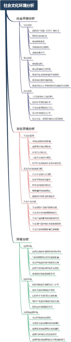 社会文化环境分析