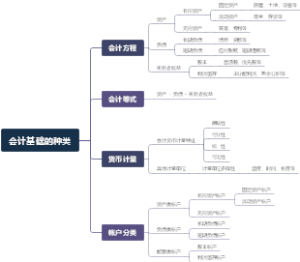 会计基础的种类