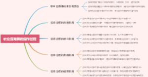 职业咨询师的操作过程