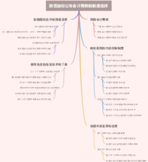 防范股份公司会计舞弊的制度选择