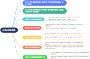 公共会计的实施