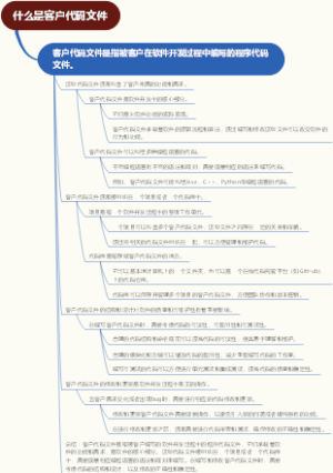 什么是客户代码文件
