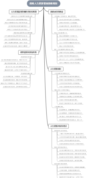 战略人力资源管理战略规划