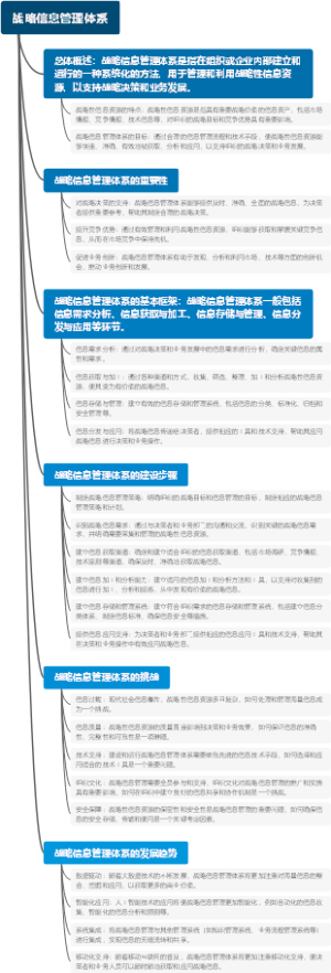 战略信息管理体系