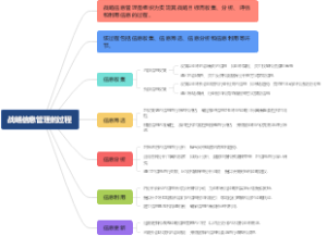 战略信息管理的过程