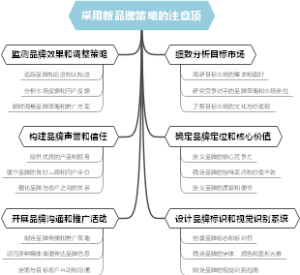 采用新品牌策略的注意项