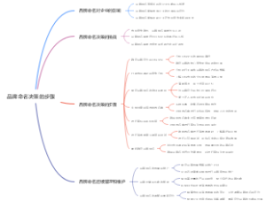 品牌命名决策的步骤