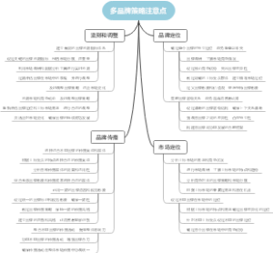 多品牌策略注意点