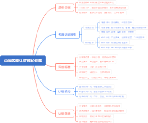 中国名牌认证评价程序