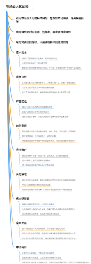 市场最大化战略