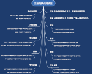 三维竞争战略模型