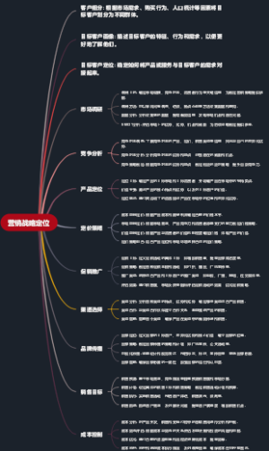 营销战略定位