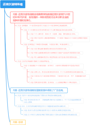 迈克尔波特战略
