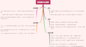 波特集中化战略
