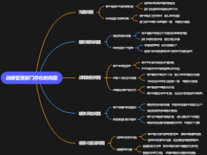 战略管理部门存在的问题