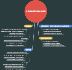 公司战略经营战略职能战略